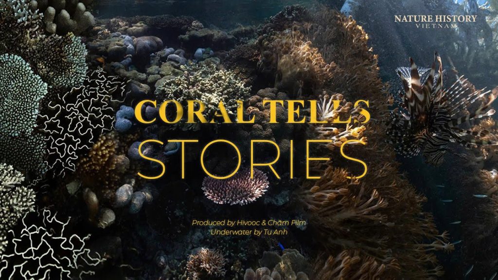 AN STORYTELLING BY VIETNAMESE CORAL