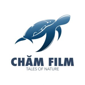 Chamfilm